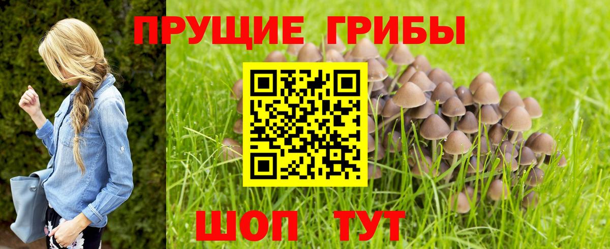 Псилоцибиновые грибы GOLDEN TEACHER Ишимбай
