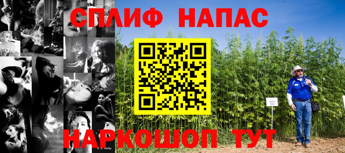 Конопля сатива Ишимбай